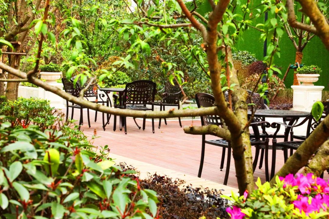 四月芳菲醉喜迎学子归,新鸥鹏教育小镇哈佛公馆游玩