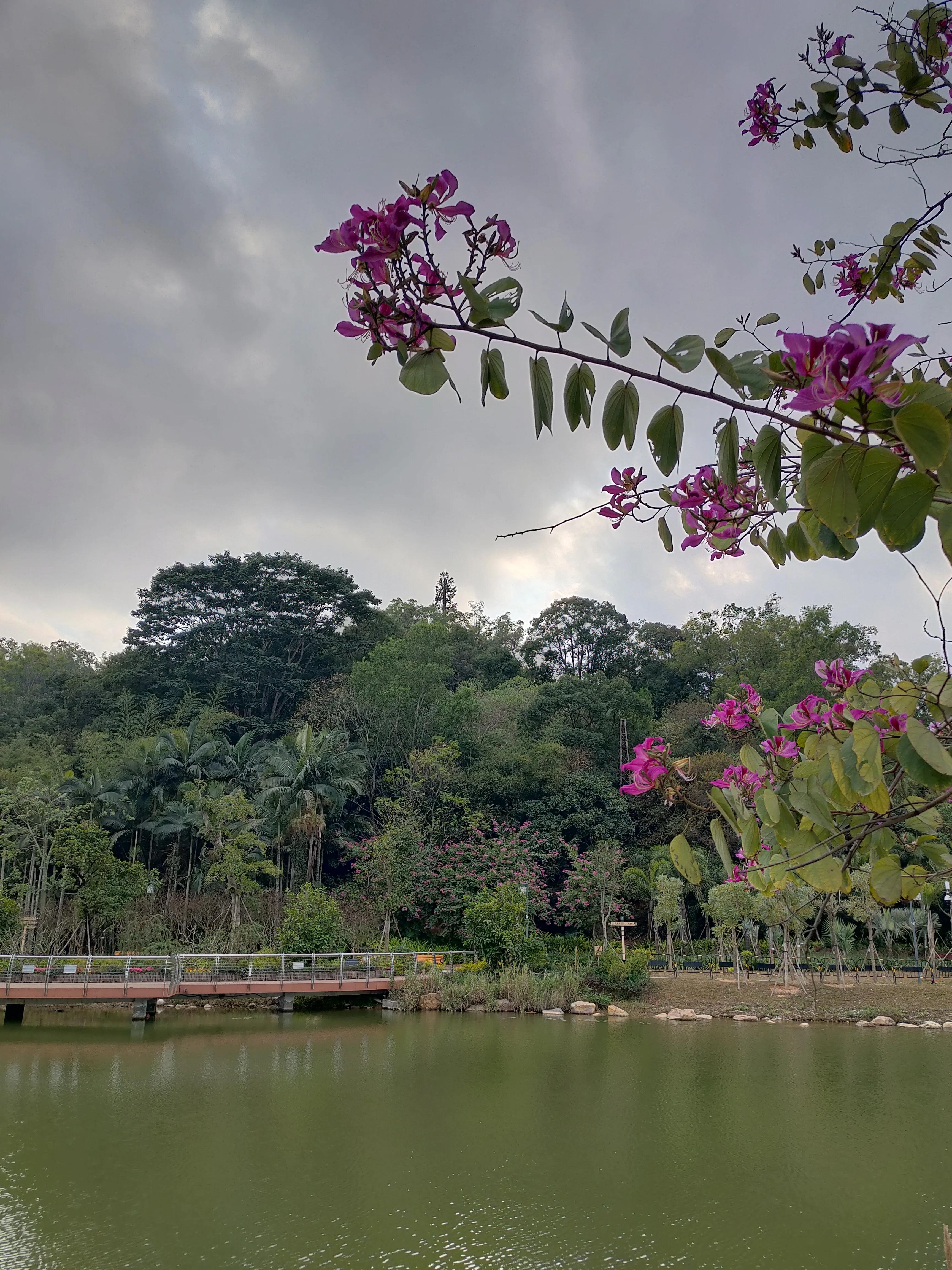 偌大的城市我的栖身之处在何处,偌大的城市容不下一个漂泊的灵魂