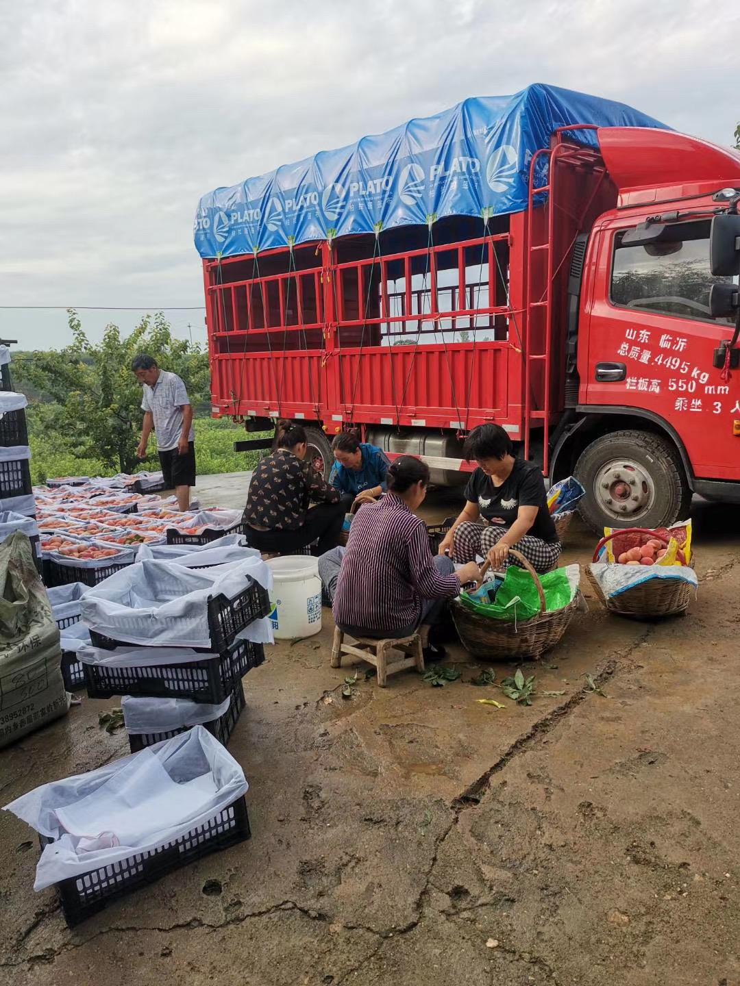 党建引领聚合力乡村振兴添活力,党建引领聚合力基层治理提质增效