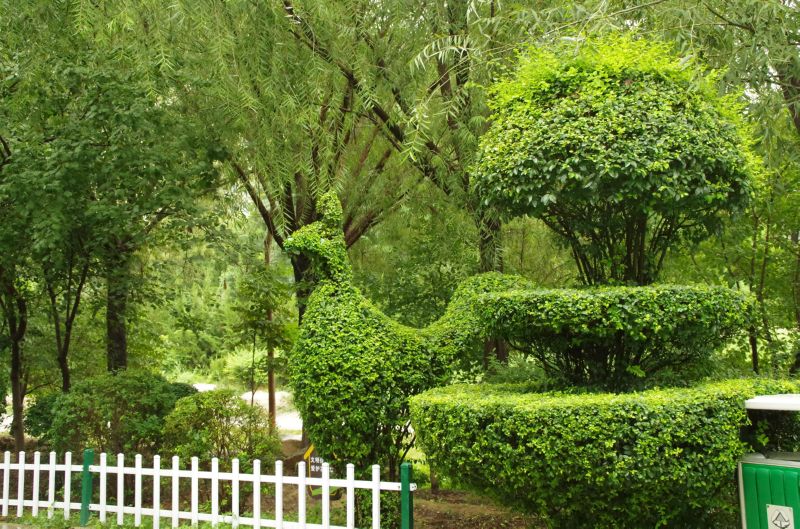 绿植花海醉心健身场地贴心便民服务暖心运城公园提升城市品质细节