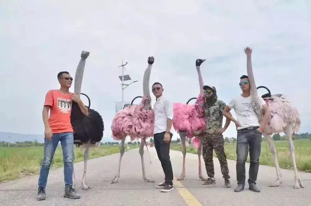 鑵惧啿鏄ヨ妭閫佷粈涔堢ぜ鐗╁ソ,鑵惧啿鍝簺鐗逛骇閫傚悎杩囧勾閫佺ぜ