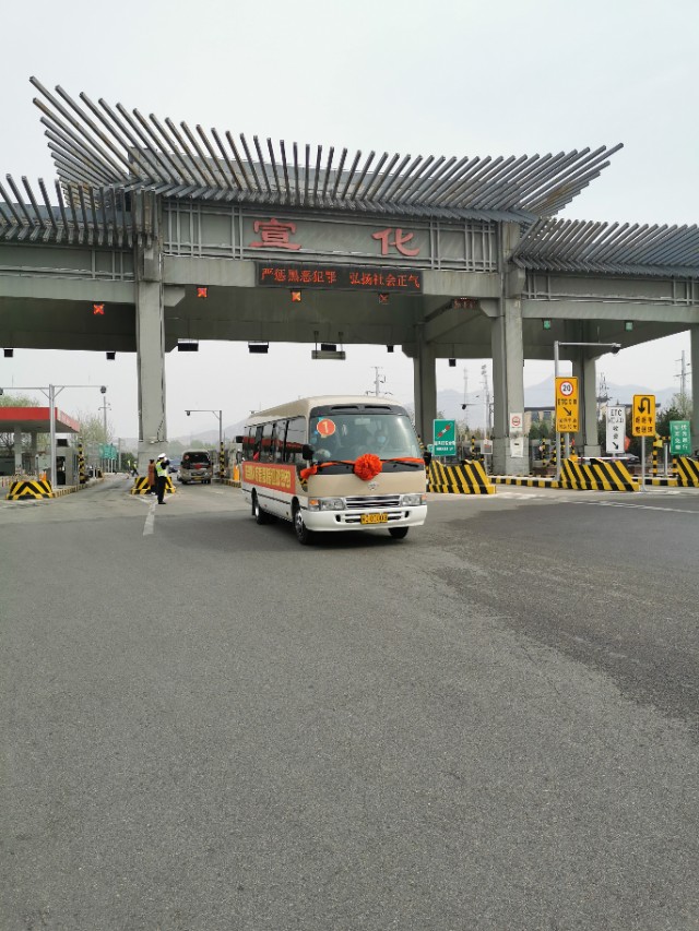 五朵金花百合,张家口市宣化5朵金花