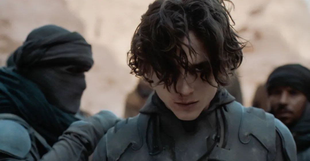 沙丘被称为烂片的原因,沙丘是烂片还是好片