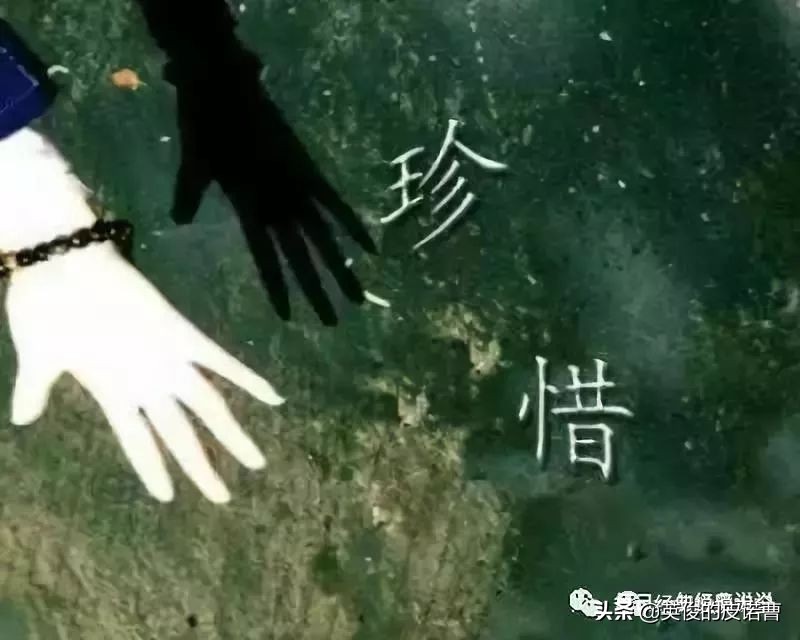 适合你所有情绪的心情句子,适合你所有情绪的小句子句句走心