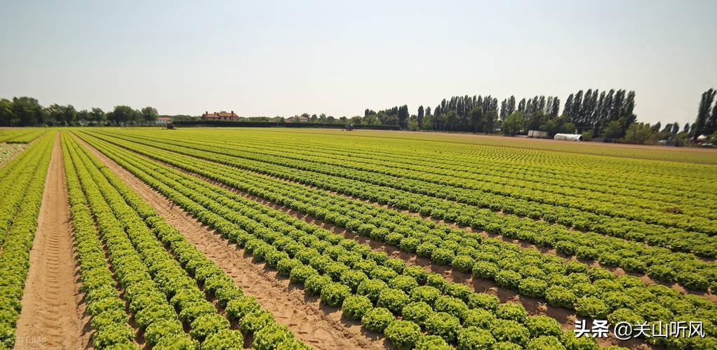 屋后有靠山旺人丁,屋后有靠指的什么