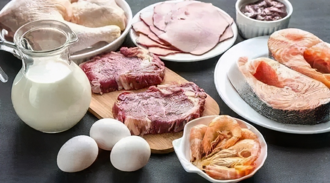 猪的智商体脂率,猪和狗的体脂率