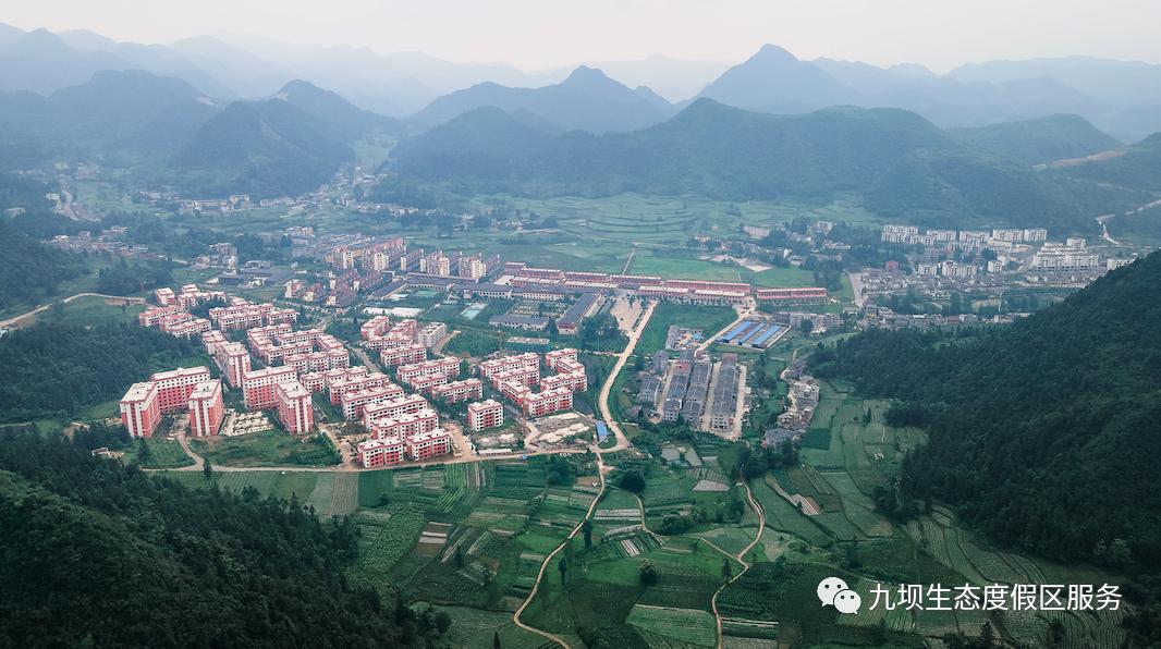 格桑花海古风视频,九坝格桑花图片