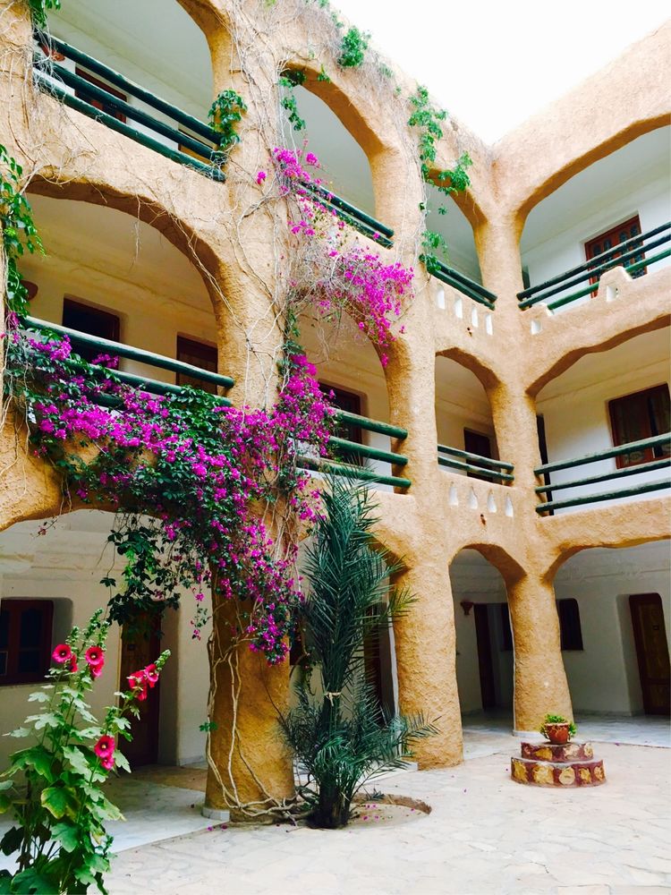 突尼斯市是世界文化之都吗,突尼斯的千年古城