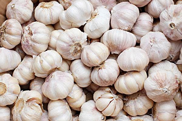 大蒜抗病毒谣言,大蒜有抗病毒的作用吗