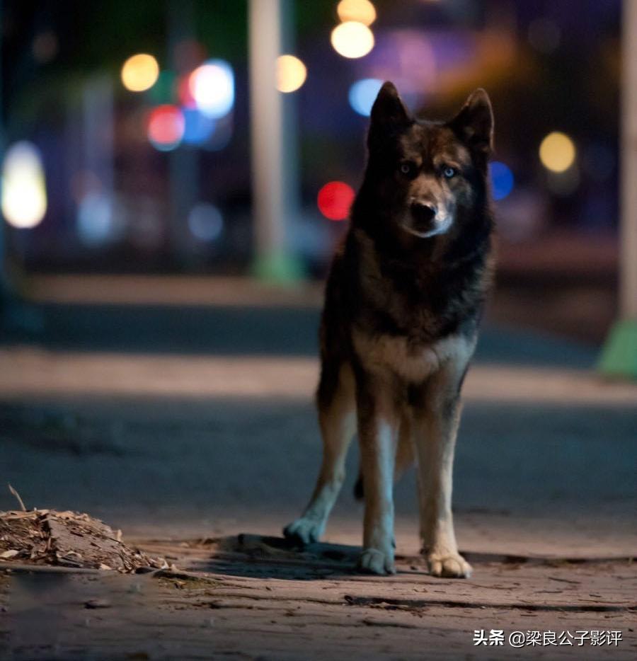 《嚎叫》：新人女刑警，接手奇案，她能破案吗？