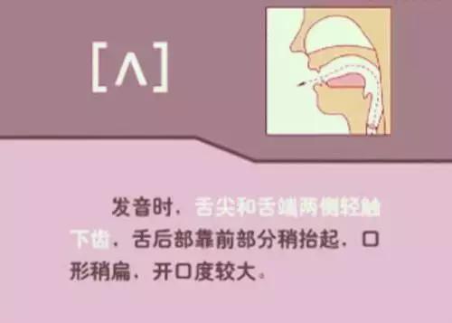 英语音标48个发音谐音表图片,英语音标发音48个教学视频