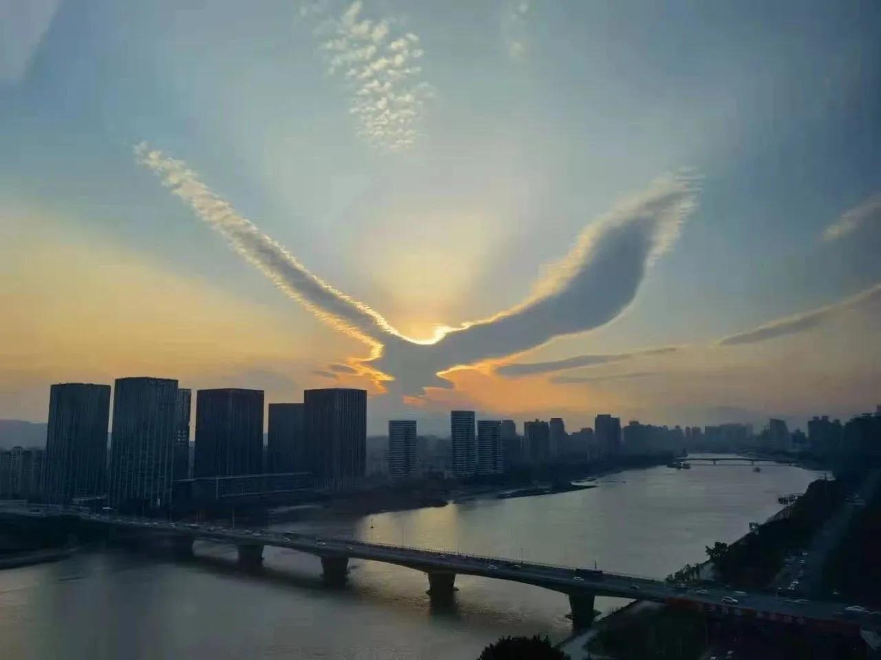 拉齐奥生日,拉齐奥2011