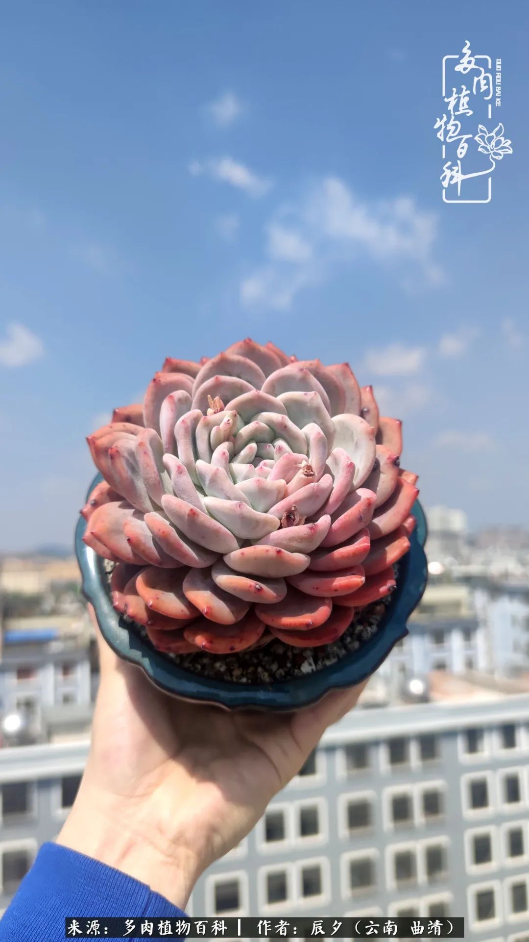 缂辩换鏃栨棊钁宠暏鐢熼,缂辩换鏃栨棊钁宠暏鐢熼鍑哄