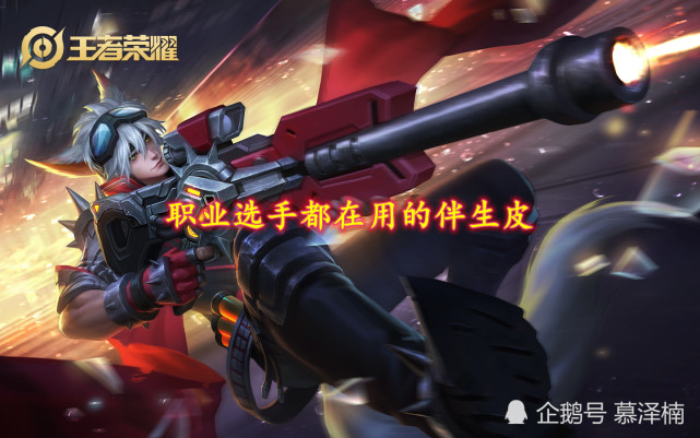 史诗伴生皮肤选哪个,伴生皮和史诗皮肤有什么区别