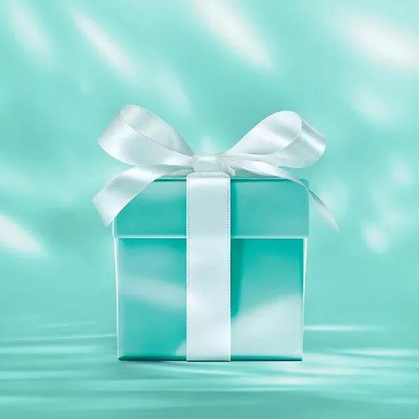 tiffany蓝哪个颜色好看,tiffany蓝是什么英文