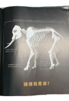 看科普绘本，学“骨科”知识，小朋友的《骨头之书》