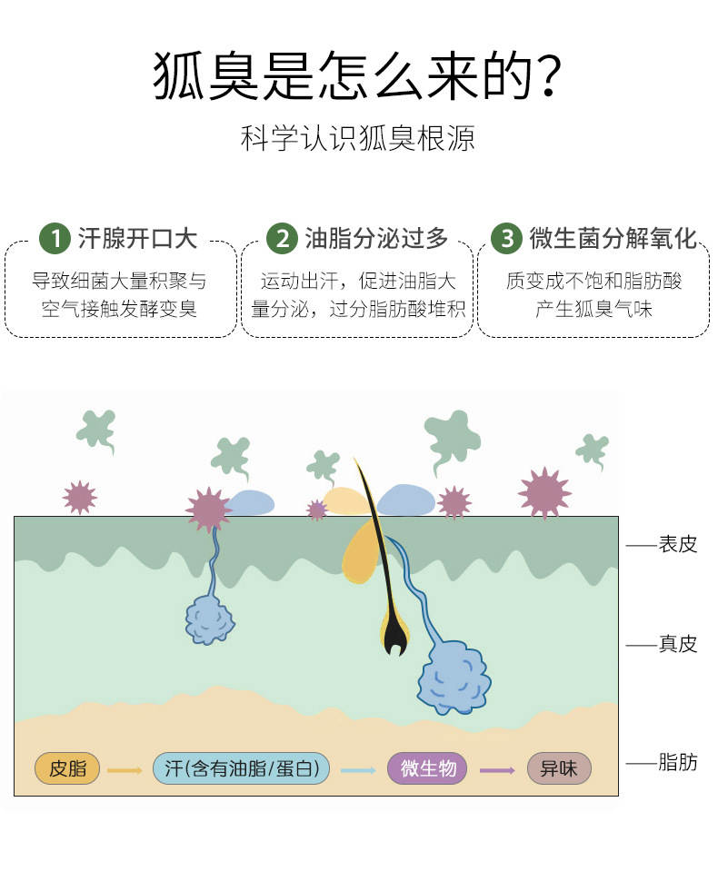 腋毛、阴毛有什么用？为什么它们没有随体毛一起褪去？