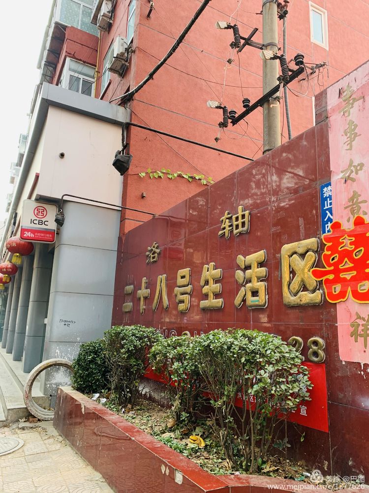 手机拍洛阳,涧西牡丹广场老照片