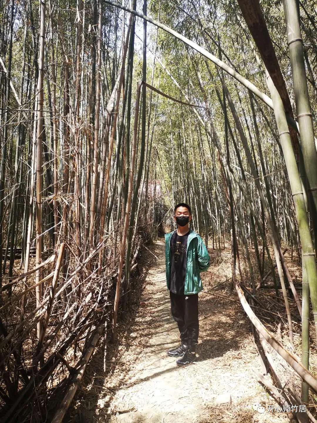 洛宁竹林一日游,竹林七贤魏晋风流全集