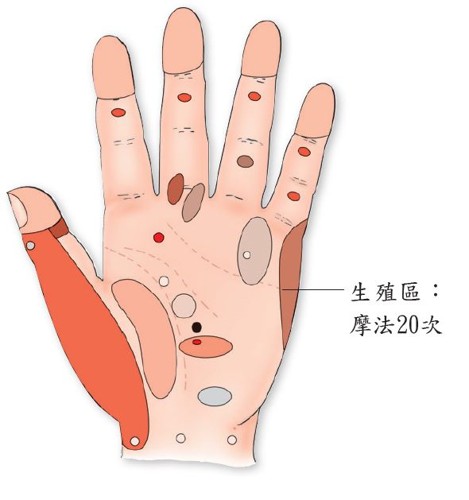 子宫肌瘤手相,子宫肌瘤的反射区手上