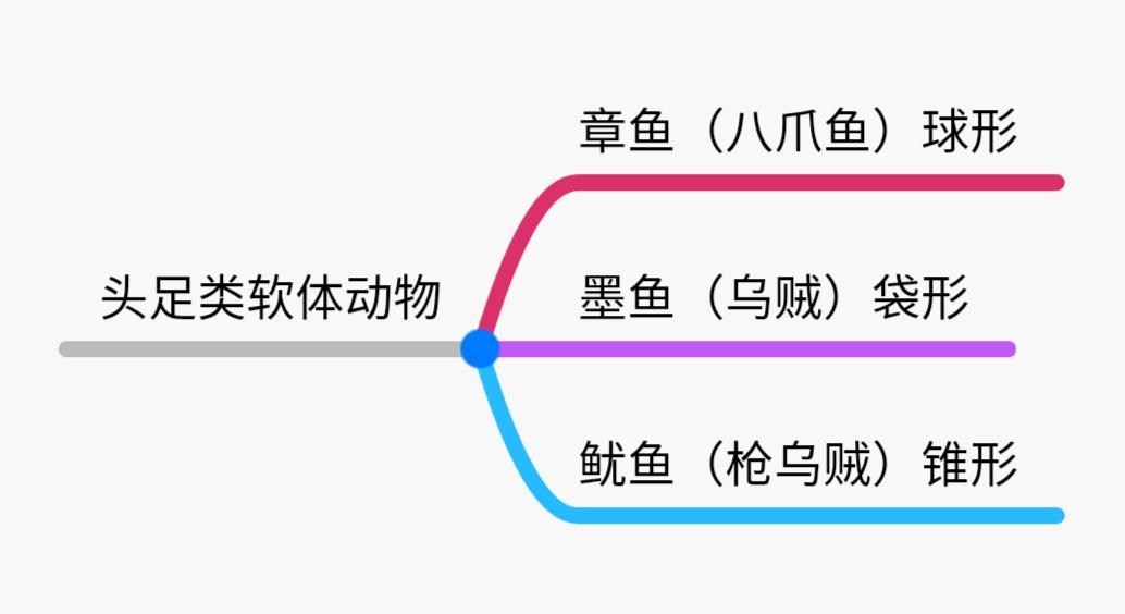章鱼墨鱼鱿鱼区别,章鱼墨鱼鱿鱼哪个营养更高