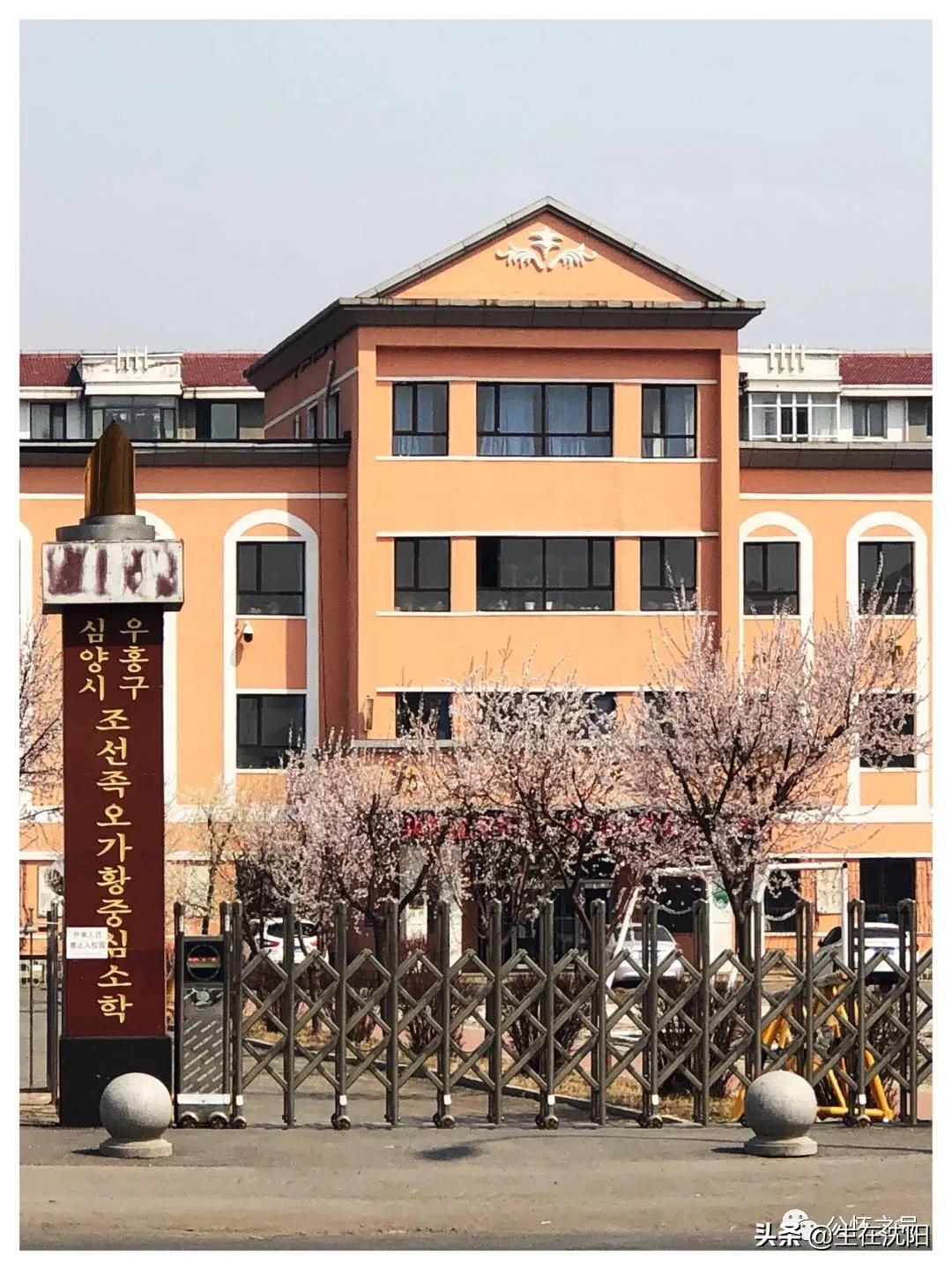 沈阳回忆,沈阳兴华实验学校回忆录