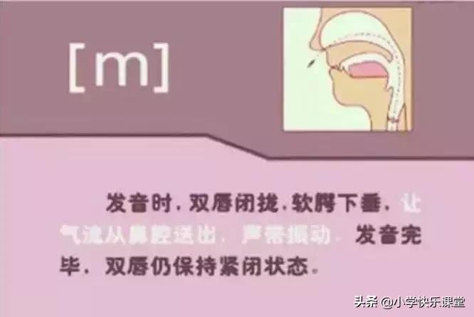 48个国际音标的发音口型视频图,英语48个音标发音口型视频