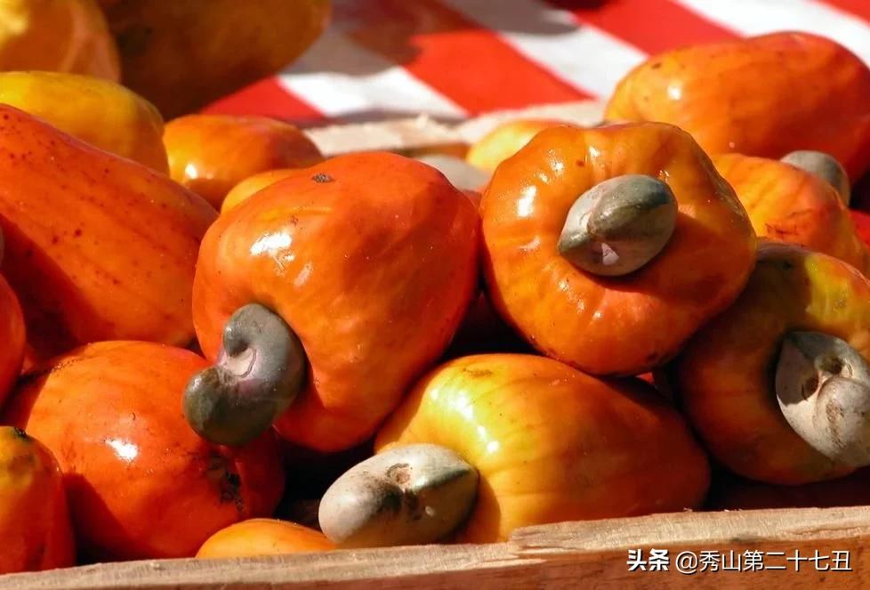 腰果是怎么剥的,腰果是怎样剥的