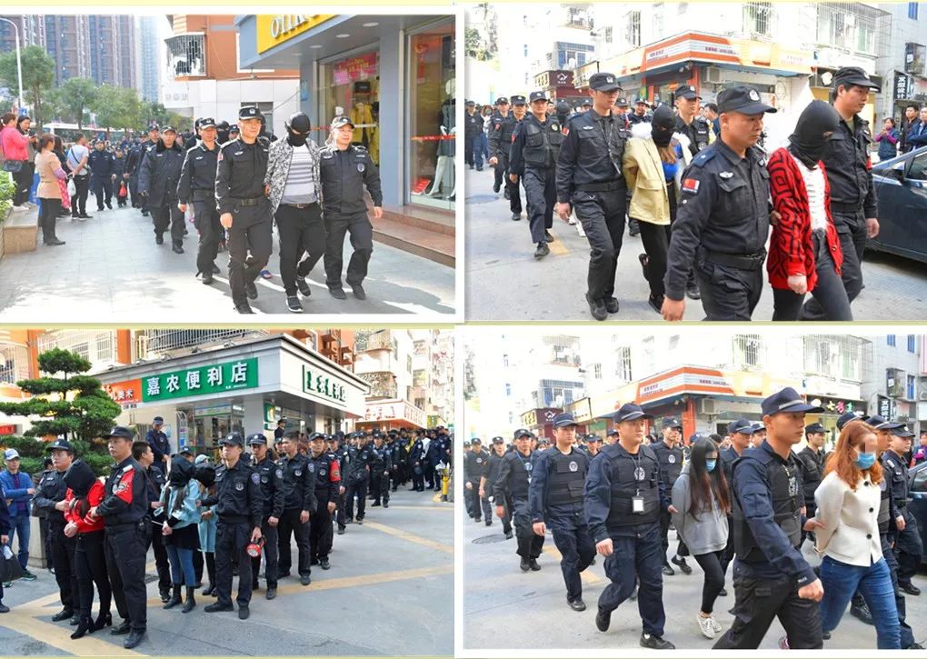 鸽子血骗局揭秘,鸽子血卖淫案