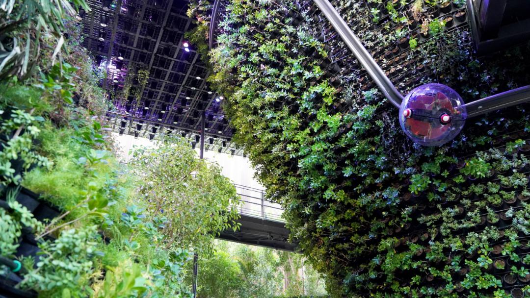 迪拜世博会中国馆正式试运营,迪拜世博会各国展馆建筑抢先看