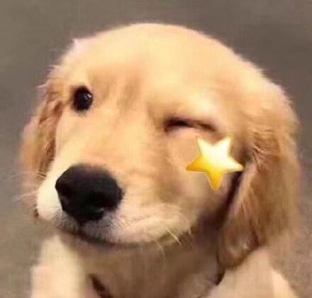 网恋奔现你发现对方很丑怎么办,网恋奔现发现对方很丑怎么拒绝