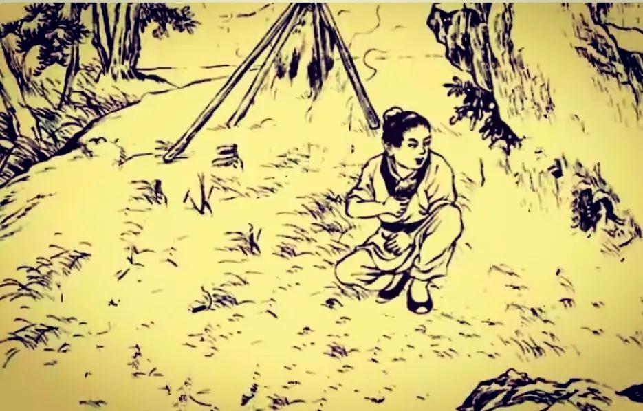 真实盗窃案故事,民间故事盗窃案