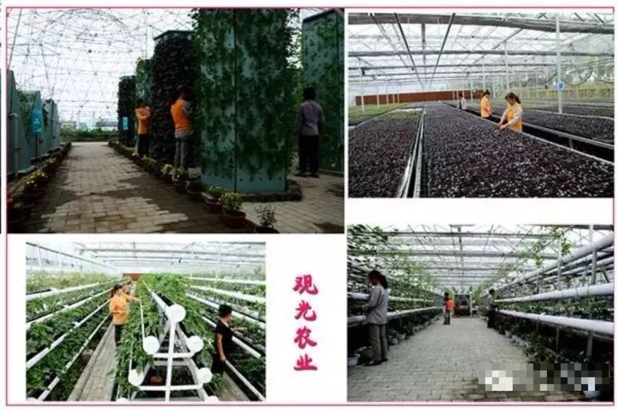 有个地方叫巴中抖音版,平昌好玩的地方