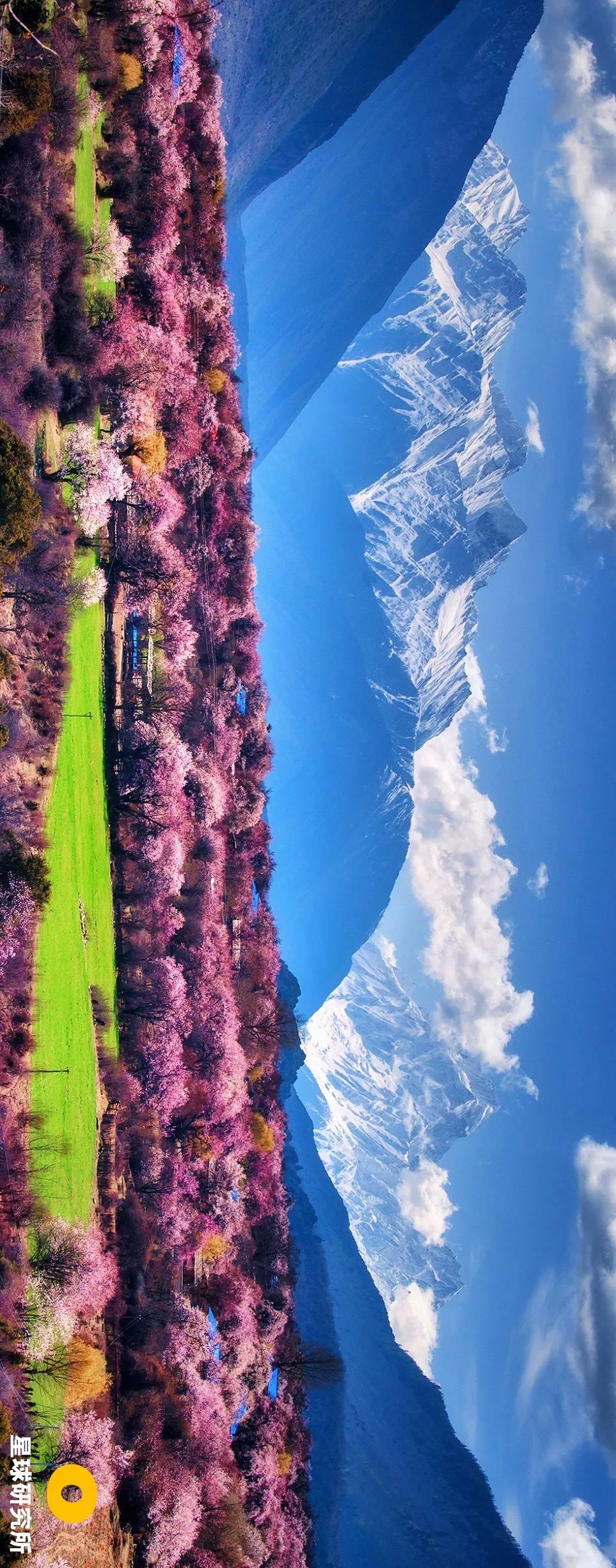 西藏你错过的风景,西藏路上的美景总是让你惊喜