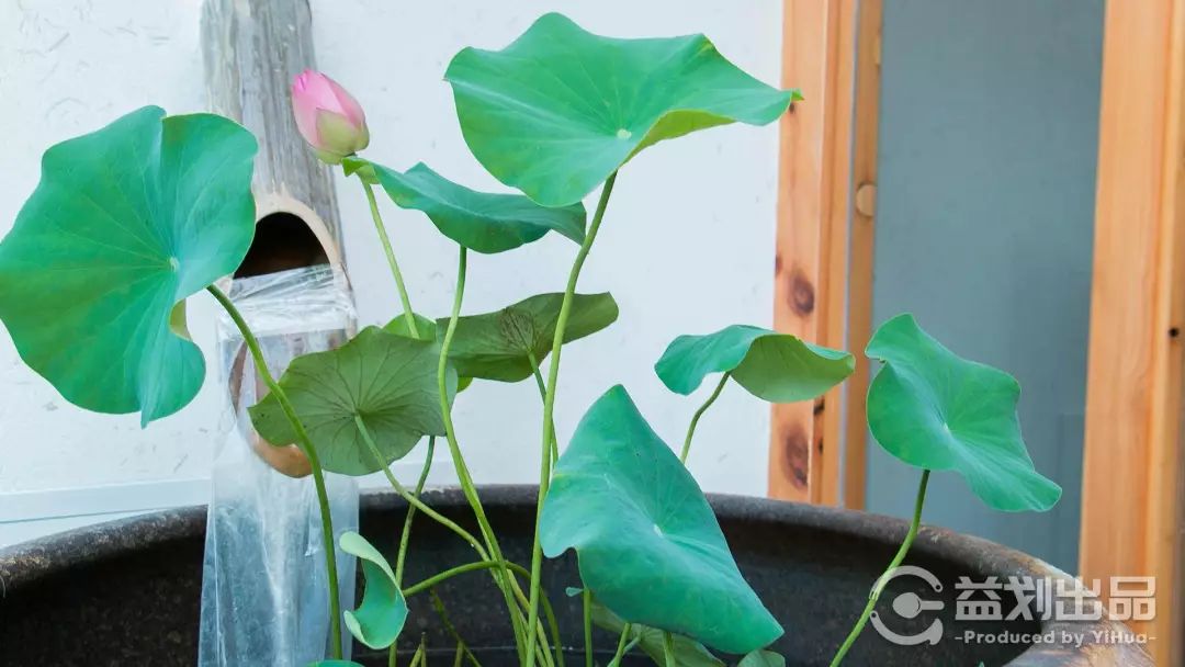 在青岛这家连锁养生馆做了个“大保健”后，我居然吃撑了