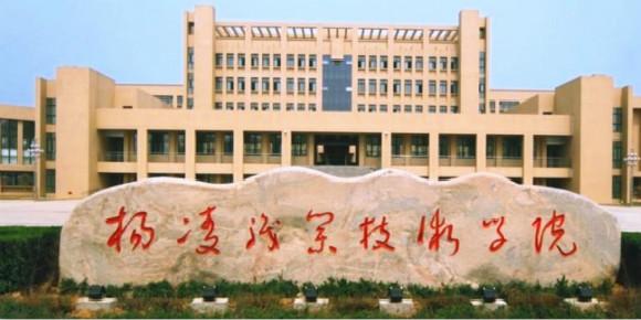 这九所专科院校不输本科就业前景,中国最好就业的几所大专学校