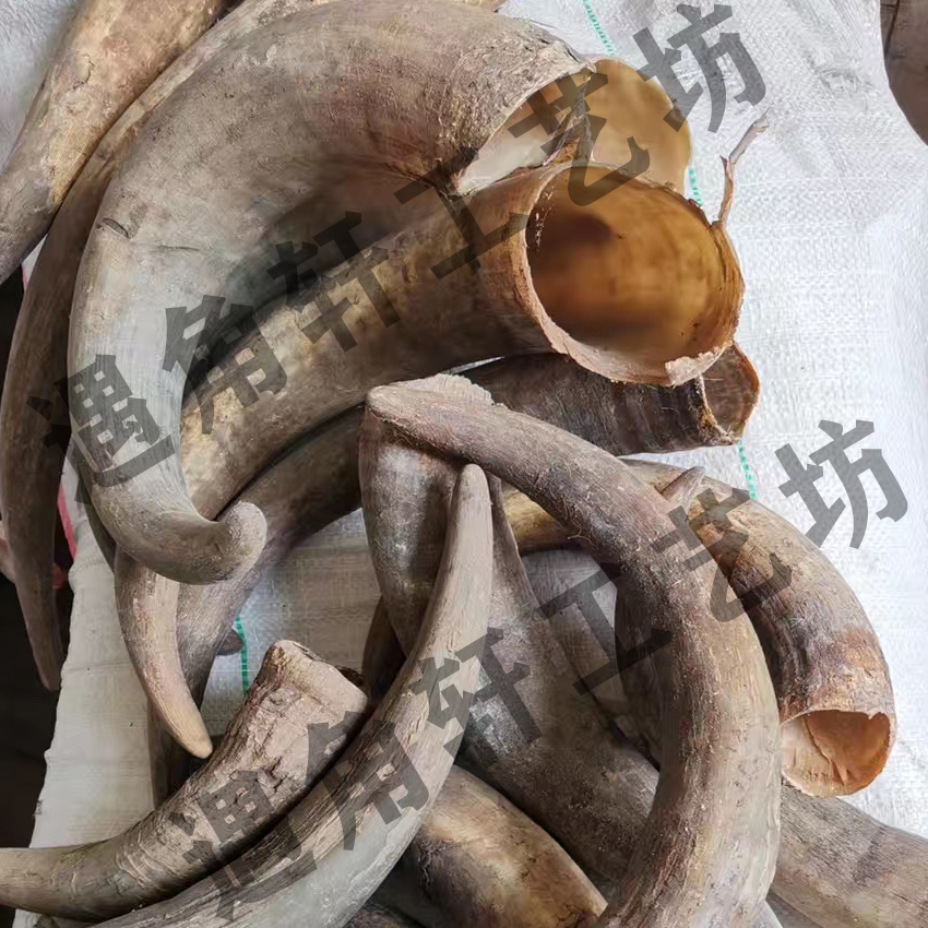 如何鉴别白水牛角梳子真假图解,白水牛牛角梳真假辨别