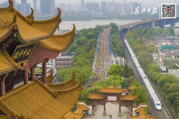 汉十高铁各段票价,汉十高铁通车票价多少