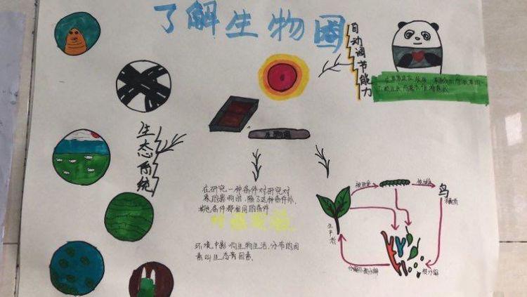 生物绘图大赛图片大全,地理生物绘图比赛