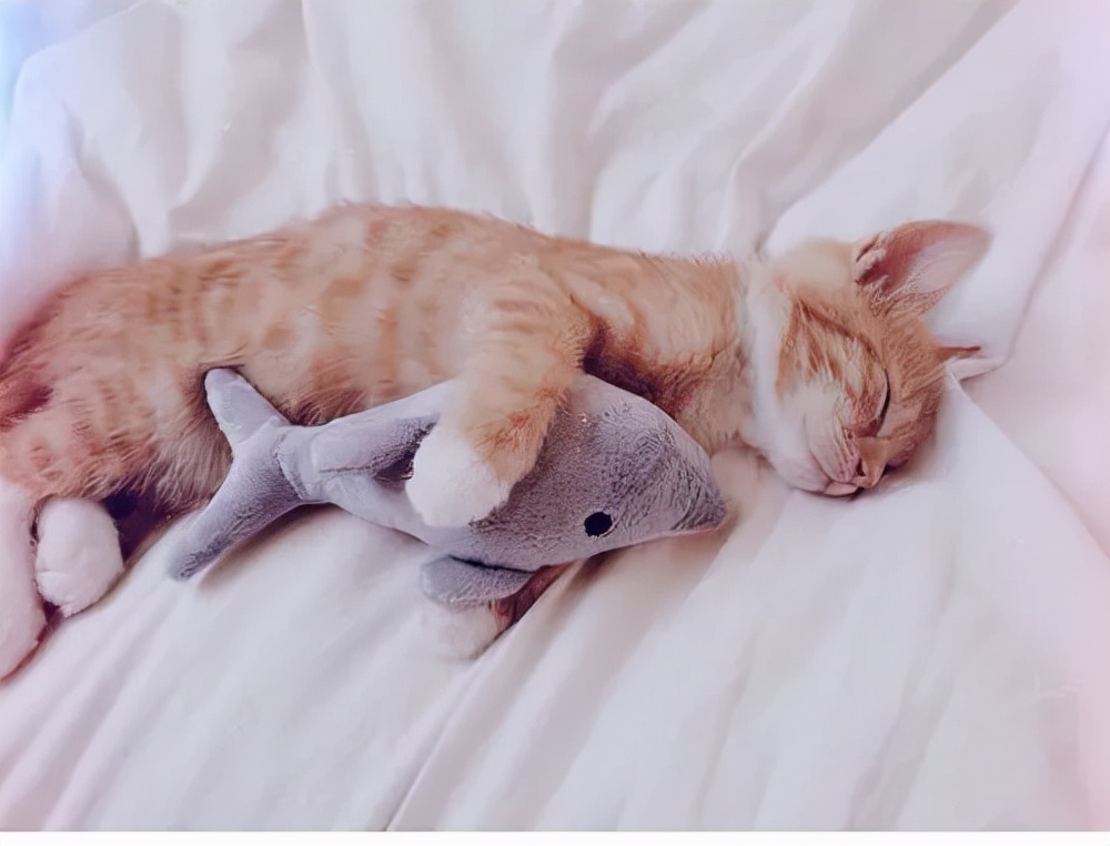 你们的对象都是在哪找,你们的对象从哪里找