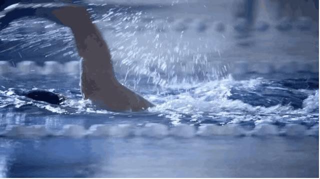 蛙泳易学还是自由泳好学,蛙泳如何游得又快又稳