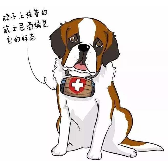 十种最好养的狗狗优缺点,外表凶猛内在温柔的狗狗