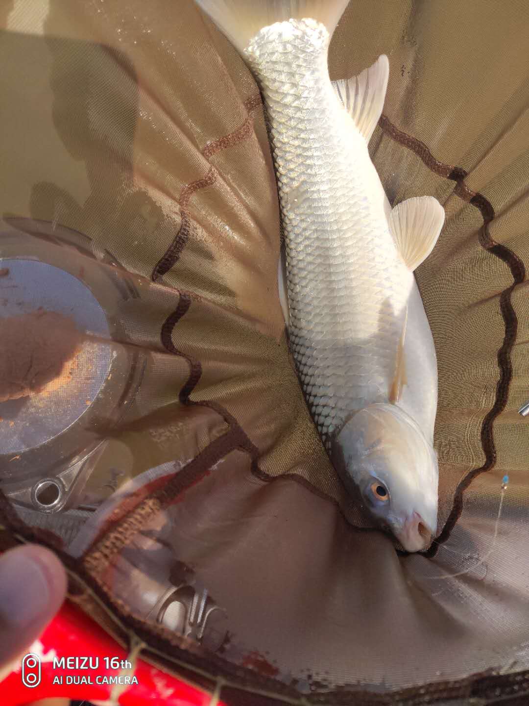 尚艺东美评价,尚艺东美秀鲤鱼竿好吗