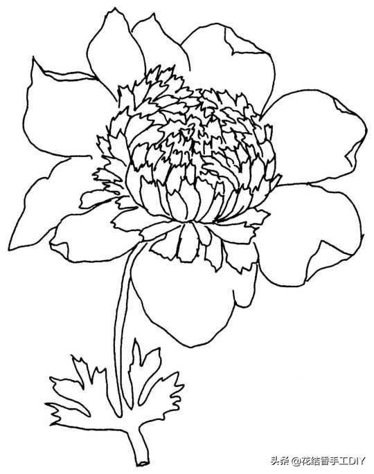 怎么学刺绣教程简单易学,刺绣技巧叶子的刺绣针法