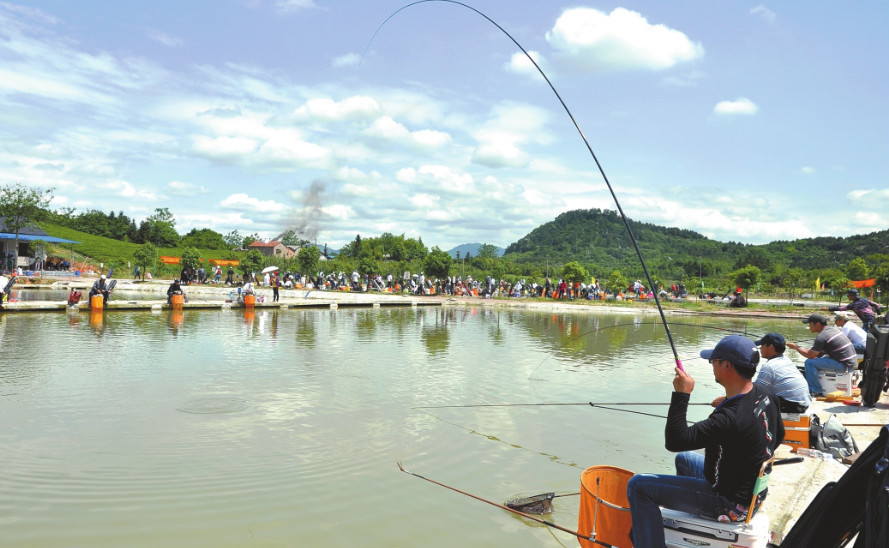 钓鱼高手用几米竿,钓鱼新手入门短竿