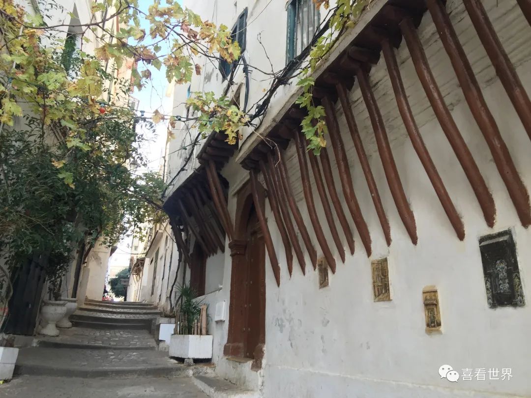 「喜看世界“非洲篇”10」阿尔及利亚:“白色之城”阿尔及尔