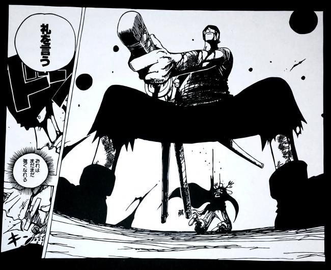 索隆最霸气的草帽,草帽海贼团索隆经历