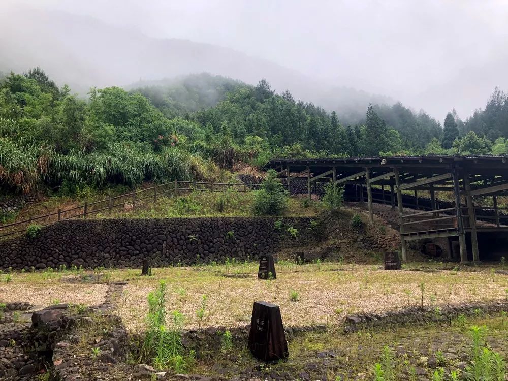 龙泉青瓷最好的是什么样的,龙泉青瓷真的很好
