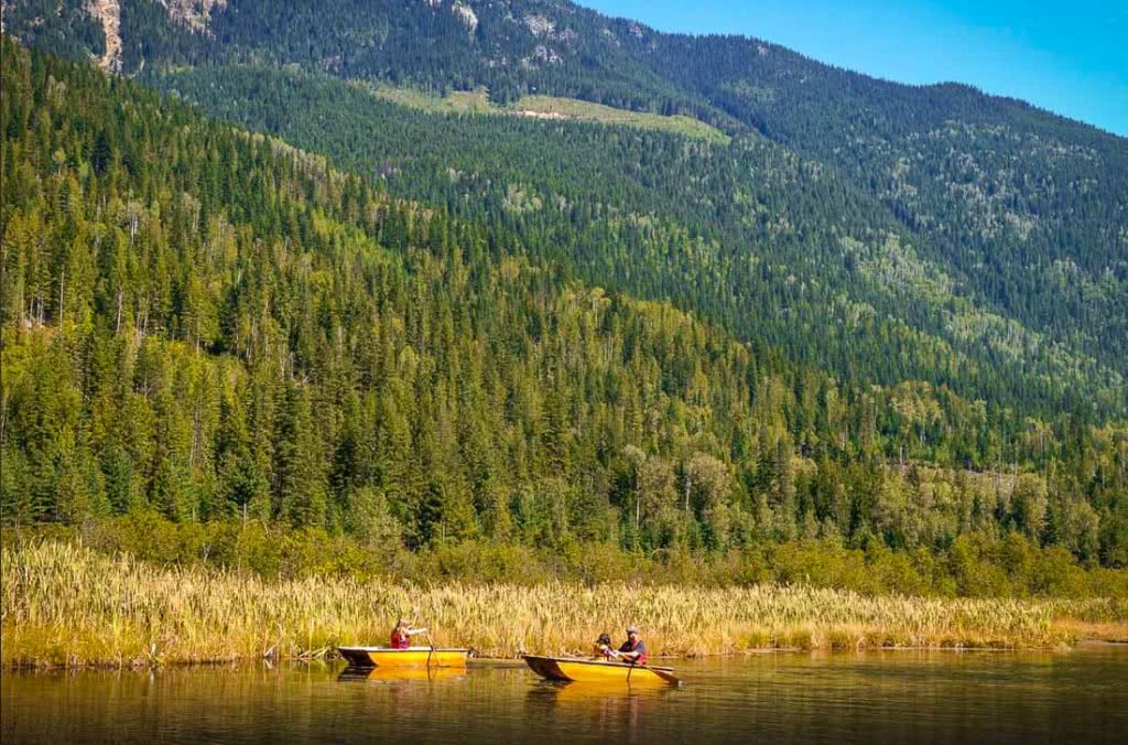 加拿大童话梦想！隐藏八百年前森林中，百万游客，老板：我不玩了