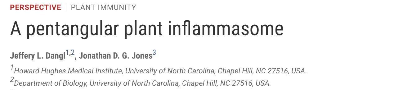 中国冷冻电镜技术进展,冷冻电镜最新研究